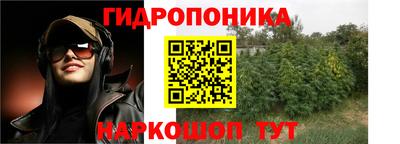 ПСИЛОЦИБИНОВЫЕ ГРИБЫ Апшеронск